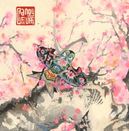 Love and Deepspace Mortality's Tenderness